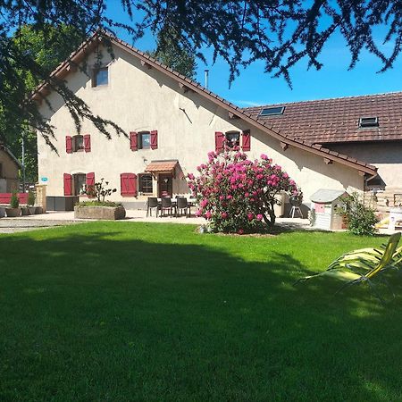 Gite Belle Fleur 6 Personnes- Vosges Saint-Nabord Bagian luar foto
