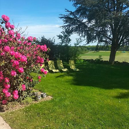 Gite Belle Fleur 6 Personnes- Vosges Saint-Nabord Bagian luar foto