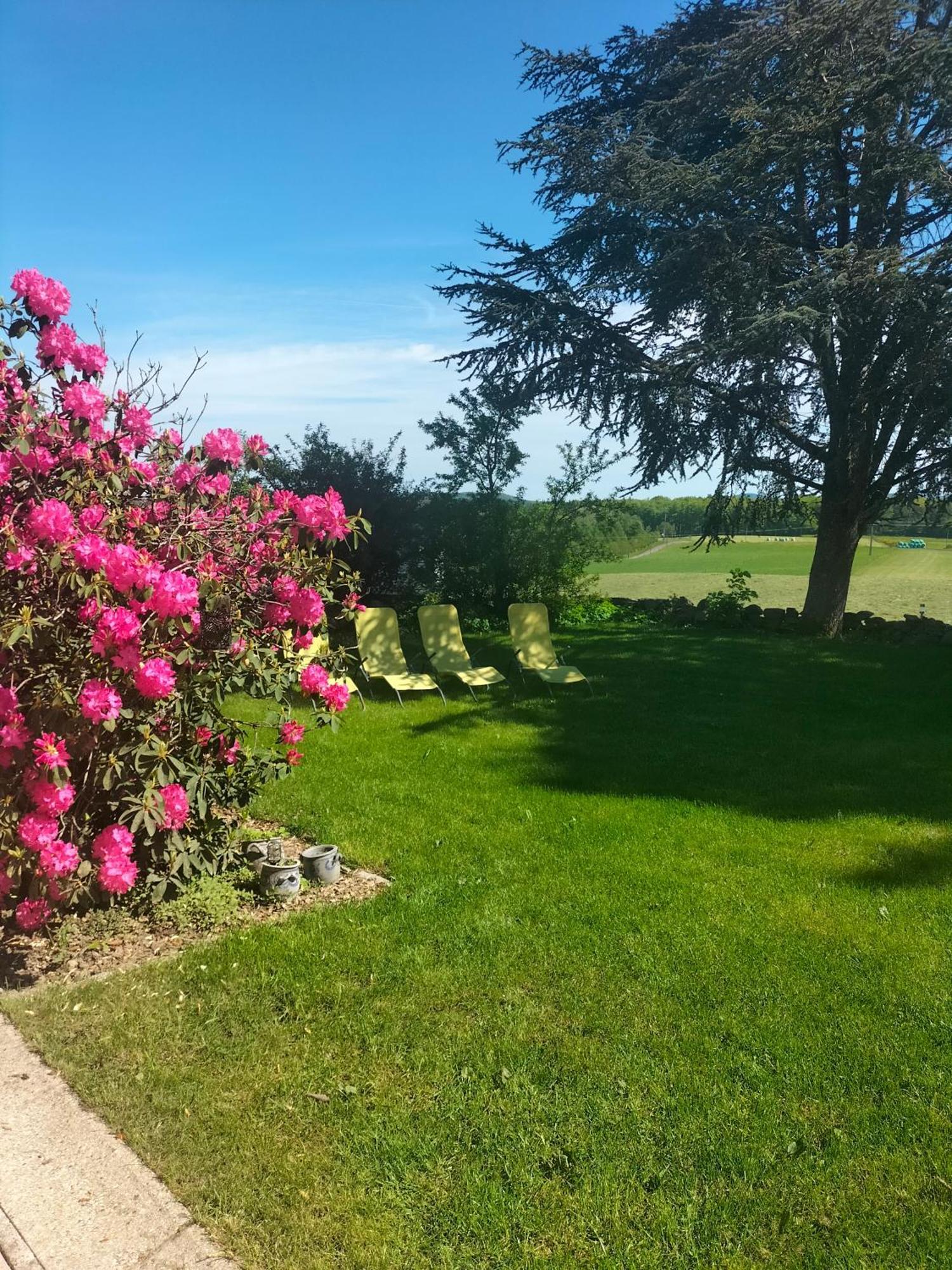 Gite Belle Fleur 6 Personnes- Vosges Saint-Nabord Bagian luar foto
